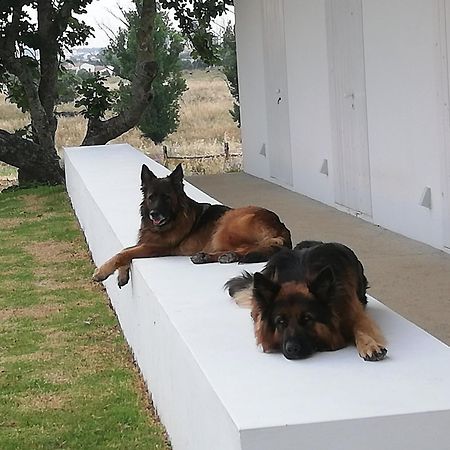 Monte Da Azarujinha Villa Azaruja Kültér fotó