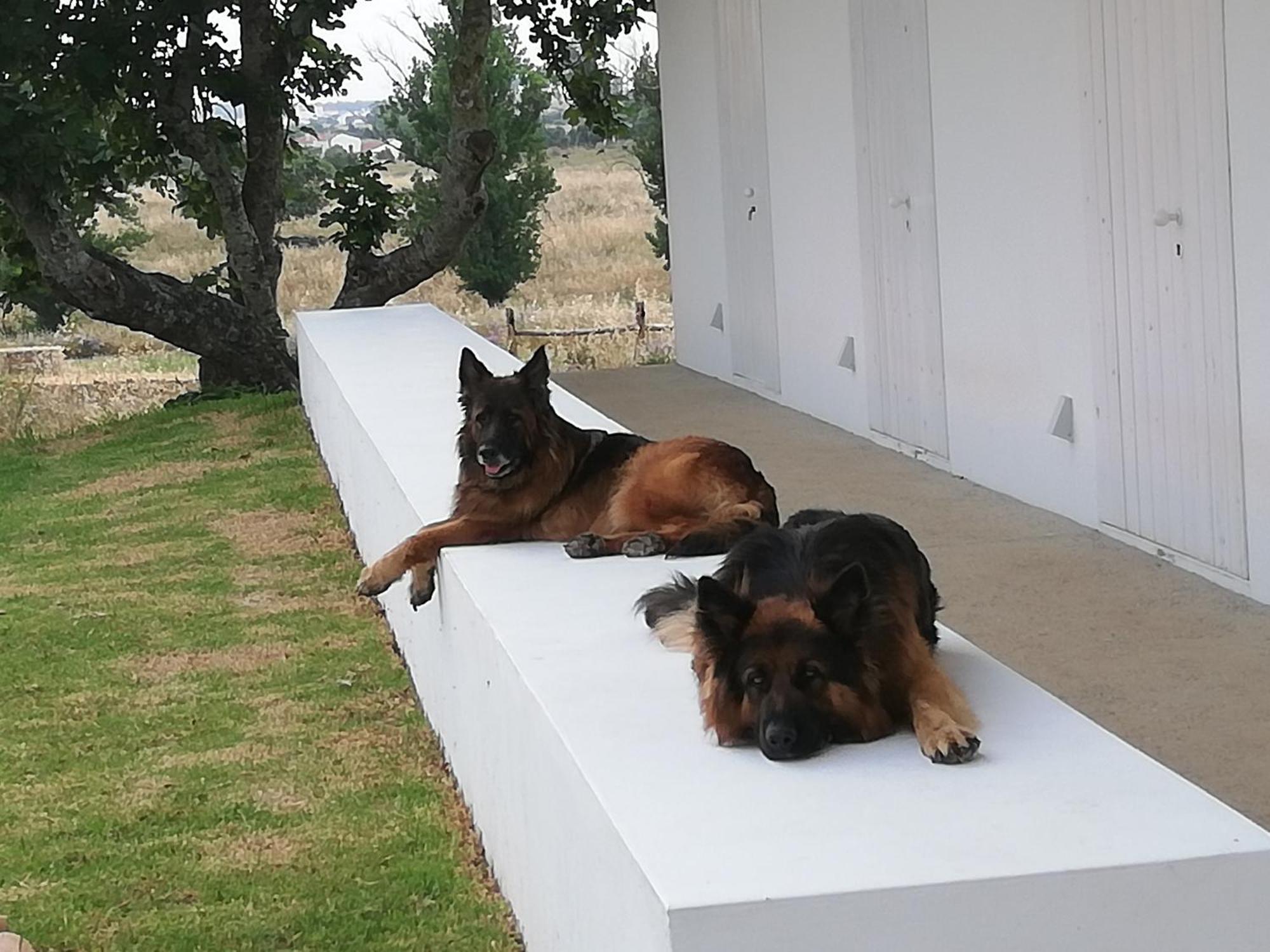Monte Da Azarujinha Villa Azaruja Kültér fotó